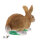 Obiettivi del TC - Rudi Hase