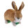 Obiettivi del TC - Rudi Hase