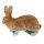Obiettivi del TC - Rudi Hase