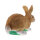 Obiettivi del TC - Rudi Hase