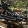 [SET] X-BOW FMA Scorpion I - 375 fps / 175 lbs - Balestra compound
