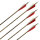 Komplettpfeil | BEARPAW Penthalon Traditional Extreme - Carbon