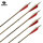 Komplettpfeil | BEARPAW Penthalon Traditional Extreme - Carbon