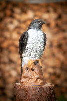 CENTER-POINT 3D Falcon - Made in Germany
