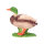 IBB 3D drake - in corso