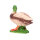 IBB 3D drake - in corso