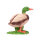 IBB 3D drake - in corso