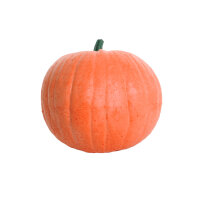 Zucca IBB 3D
