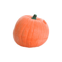 Zucca IBB 3D