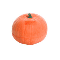 Zucca IBB 3D