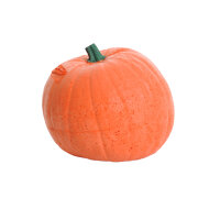 Zucca IBB 3D