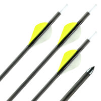 31-35 lbs | Carbonpfeil | GOLD TIP Warrior - mit Vanes |...