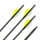 31-35 lbs | Carbonpfeil | GOLD TIP Warrior - mit Vanes | Spine 600 | 32 Zoll