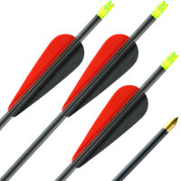 ab 56 lbs | Carbonpfeil | LithoSPHERE Black - mit Vanes |...