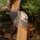 JACKALOPE - Tourmaline - 62 pollici - Arco ricurvo raffinato - 20-50 lbs