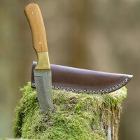elTORO Brass Olive - Damasco - Coltello da caccia - 10 cm...