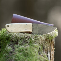 elTORO Skinner Bone - Coltello da scuoio in acciaio...