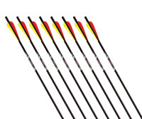 Dardo balestra | GOLD TIP Swift - Carbonio - Flatnock -...