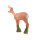 IBB 3D Roebuck