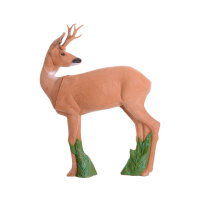IBB 3D roebuck: uno sguardo al passato