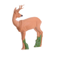 IBB 3D roebuck: uno sguardo al passato