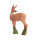 IBB 3D roebuck: uno sguardo al passato