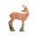 IBB 3D roebuck: uno sguardo al passato