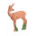 IBB 3D roebuck: uno sguardo al passato