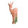 IBB 3D roebuck: uno sguardo al passato