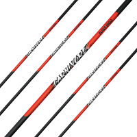 Asta | BLACK EAGLE Carnivore .001 - Carbonio - incl....