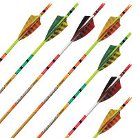 Freccia completa | BLACK EAGLE Instinct .005 - Carbonio -...