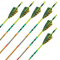Komplettpfeil | BLACK EAGLE Instinct .005 - Carbon - ab Werk befiedert - 6er Pack
