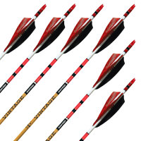 Komplettpfeil | BLACK EAGLE Vintage Crested .005 - Carbon - ab Werk befiedert - 6er Pack