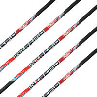 Asta | BLACK EAGLE Asta .006 - Carbonio - incl. Cocca