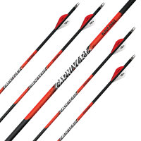 Freccia completa | BLACK EAGLE Carnivore .003 - Carbonio
