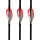 GAS PRO Rick van der Ven Signature Series - 2 pollici - Pale - Confezione da 50 pezzi