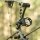 [SPECIALE] DRAKE Gecko RTS - 30-55 lbs - Arco compound