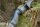 JACKALOPE - Moonstone - 60 pollici - 30-60 lbs - Arco ricurvo o ibrido da abbattere