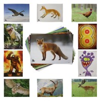 SET per balestre | Battifreccia Schiuma Black - 60x60x30cm - incl. Cavaletto e Bersaglio