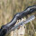 Riser | DRAKE ARCHERY ELITE Pitchblack - 17 pollici - ILF