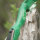 Riser | JACKALOPE - Malachite - 19 pollici - ILF