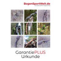 4 anni BSW PLUSGARANZIA