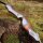 JACKALOPE - Onyx - 62-68 pollici - 20-60 lbs - Arco ricurvo Take Down