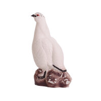 IBB 3D Pernice bianca - Gallo