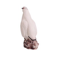IBB 3D Pernice bianca - Gallo