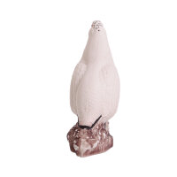IBB 3D Pernice bianca - Gallo