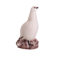 IBB 3D Pernice bianca - Gallo