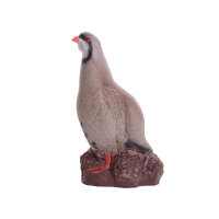 Pernice di roccia IBB 3D - Gallo
