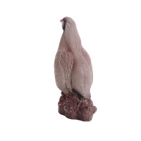 Pernice di roccia IBB 3D - Gallo
