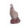 Pernice di roccia IBB 3D - Gallo